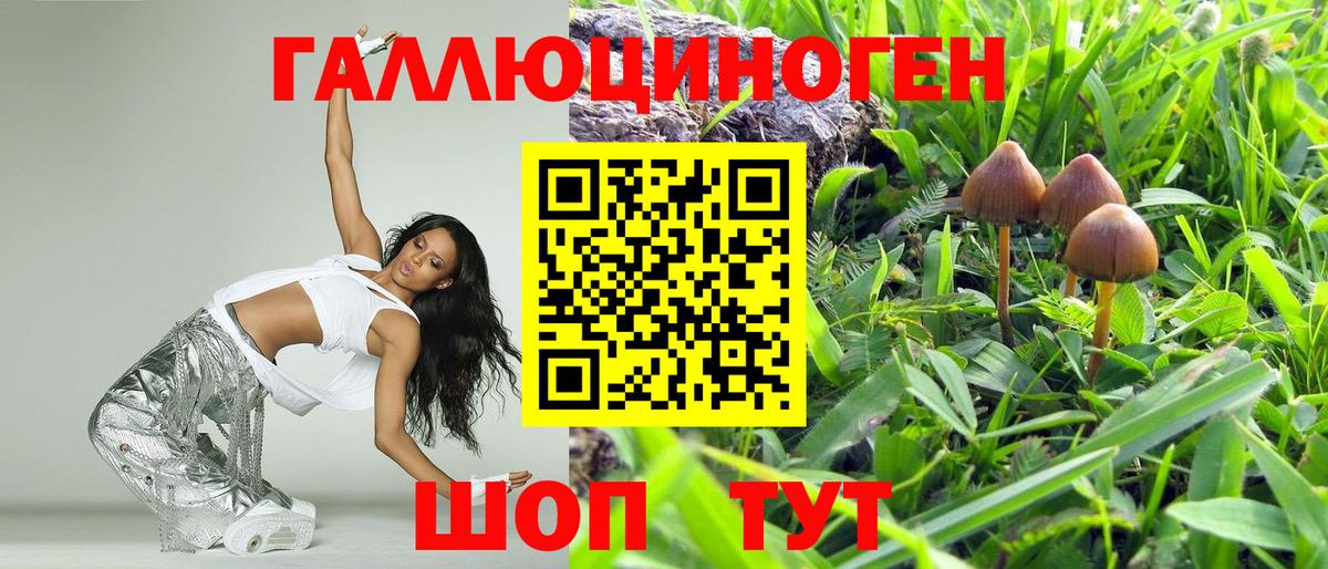 Псилоцибиновые грибы ЛСД Россошь