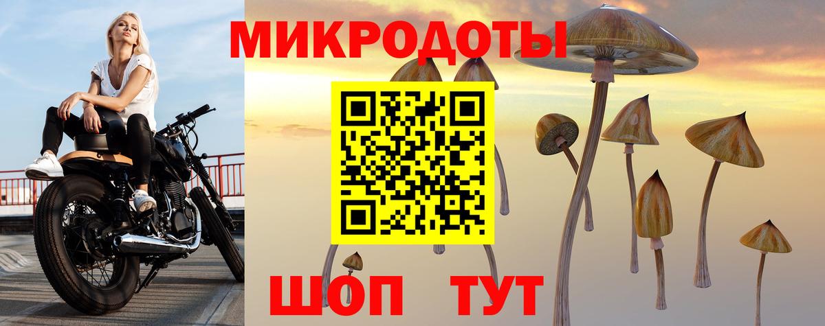 Россошь  Псилоцибиновые грибы Psilocybine cubensis  Вход с VPN 